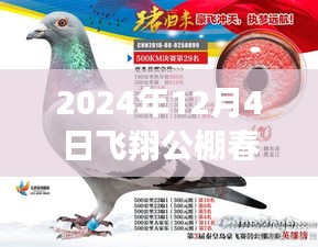 揭秘最新公告,飛翔公棚春棚更新動態(tài),關注所有你關心的內容