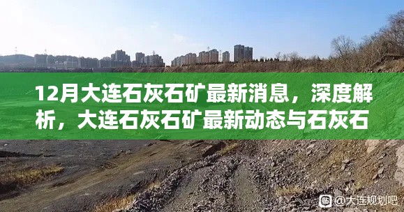 大連石灰石礦最新動態與產品特性深度解析,12月消息速遞
