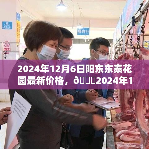 陽東東泰花園最新價格揭秘,2024年行情大揭秘