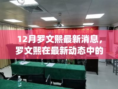 羅文熙最新動態揭秘，深度解讀與觀點闡述