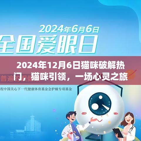 貓咪引領的心靈之旅,熱門貓咪時光探索記
