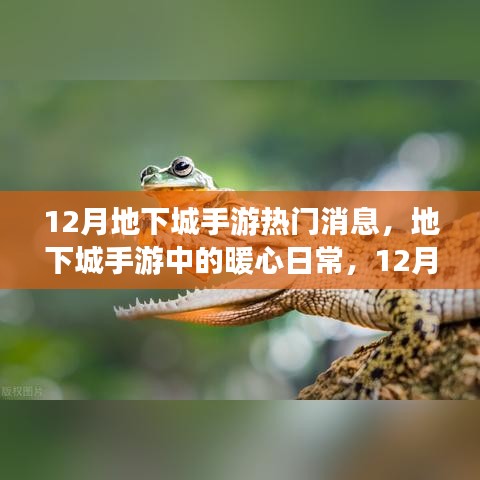 12月地下城手游,暖心日常與友情陪伴的時(shí)光