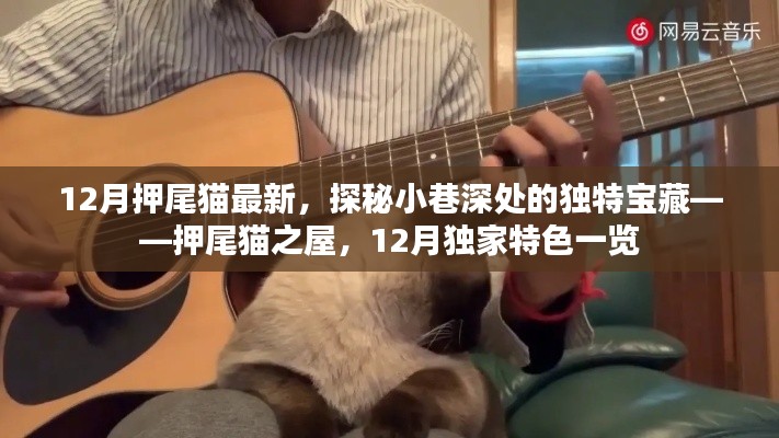 探秘押尾貓之屋，小巷深處的獨特寶藏，揭秘十二月獨家特色