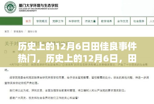 揭秘歷史上的田佳良事件,背后的故事與深遠影響