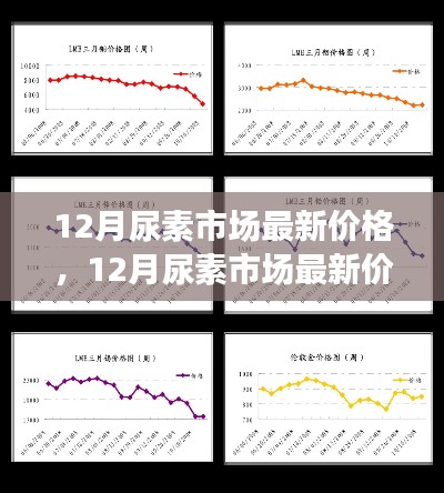 多方觀點(diǎn)碰撞與個(gè)人立場(chǎng),12月尿素市場(chǎng)最新價(jià)格及走勢(shì)分析