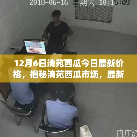 清苑西瓜最新價格動態及市場分析,揭秘市場趨勢(以12月6日數據為例)