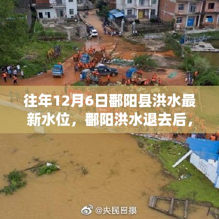 追尋內心平靜的洪水退去之旅,鄱陽洪水最新水位報告