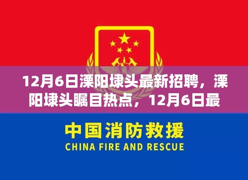 12月6日溧陽(yáng)埭頭最新招聘信息揭秘，矚目熱點(diǎn)崗位一網(wǎng)打盡
