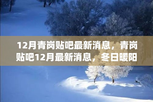 冬日暖陽下的青崗貼吧,最新消息與友情故事匯聚
