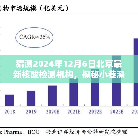 探秘北京隱藏版核酸檢測機構,2024年12月6日最新核酸檢測寶藏揭秘