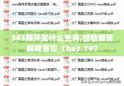 343期開獎什么生肖,經驗解答解釋落實_The3.797