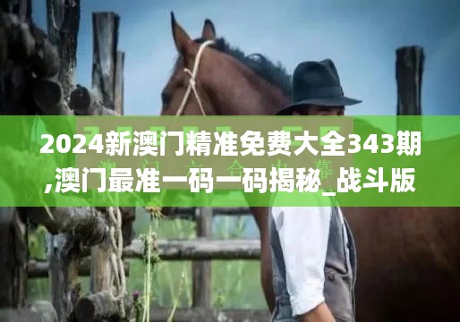 2024新澳門精準免費大全343期,澳門最準一碼一碼揭秘_戰斗版5.829