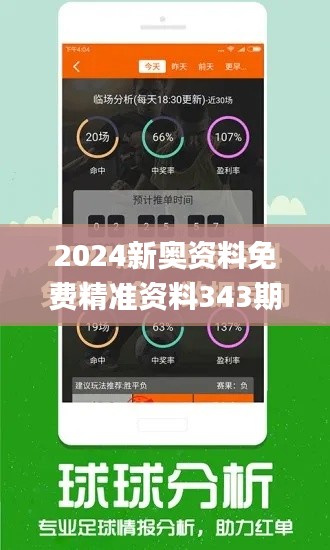 2024新奧資料免費精準資料343期,統(tǒng)計分析解釋定義_挑戰(zhàn)版3.108