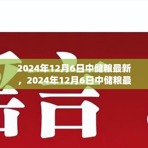 聚焦糧食儲備與管理創新,中儲糧最新動態報道