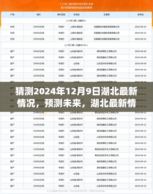湖北未來(lái)展望,以2024年12月9日觀(guān)察節(jié)點(diǎn)預(yù)測(cè)湖北最新情況展望