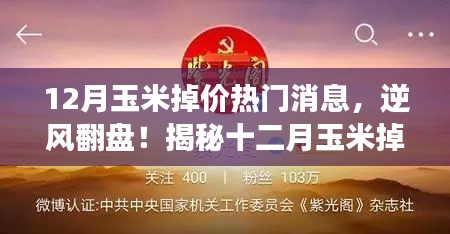 揭秘十二月玉米掉價(jià)背后的故事，逆風(fēng)翻盤，成就無限可能！