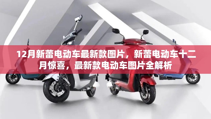 12月新蕾電動車最新款圖片全解析，新蕾十二月驚喜，領略最新款電動車風采
