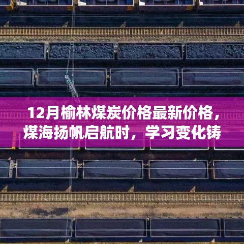 榆林煤炭最新價格動態,鼓舞人心的學習變化與成就之旅