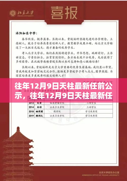 天柱最新任前公示詳解,流程步步為贏,助力輕松完成公示任務