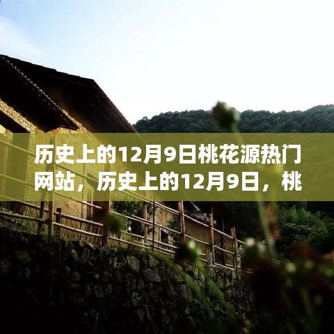 歷史上的12月9日,桃花源熱門(mén)網(wǎng)站點(diǎn)亮學(xué)習(xí)之光,成就自信與夢(mèng)想之路