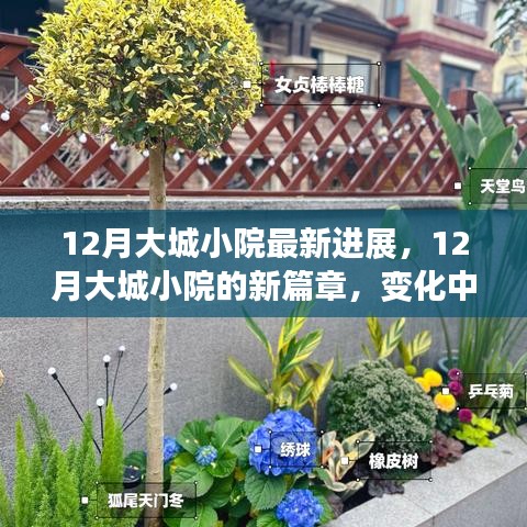 12月大城小院新進展,變化中的學習,自信與成就感的綻放