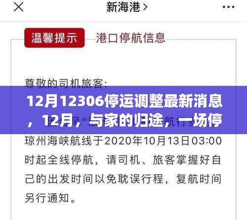 12月停運(yùn)調(diào)整心系歸途,12306最新消息與溫情之旅向家出發(fā)