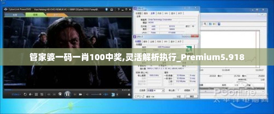 管家婆一碼一肖100中獎,靈活解析執行_Premium5.918