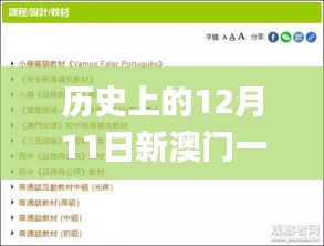 歷史上的12月11日新澳門一碼一碼100準確,深入執行數據應用_入門版6.590