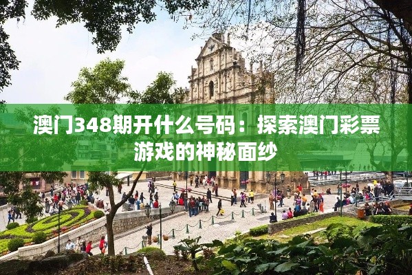 澳門348期開什么號碼：探索澳門彩票游戲的神秘面紗