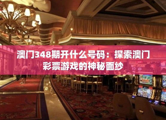 澳門348期開什么號碼:探索澳門彩票游戲的神秘面紗