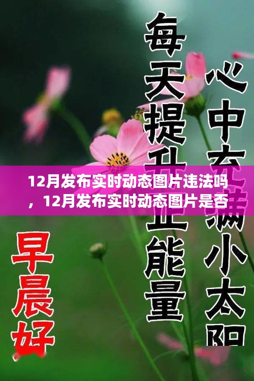 解讀,實時動態圖片發布是否違法?關于12月發布實時動態圖片的法規與案例分析