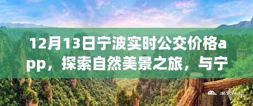 寧波實(shí)時(shí)公交價(jià)格app,探索自然美景與內(nèi)心寧?kù)o之旅