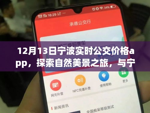 寧波實(shí)時(shí)公交價(jià)格app,探索自然美景與內(nèi)心寧?kù)o之旅