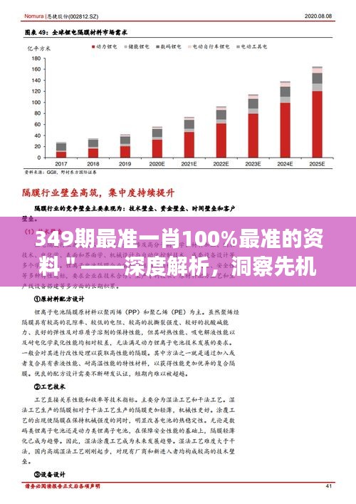 349期最準(zhǔn)一肖100%最準(zhǔn)的資料"——深度解析,洞察先機(jī)