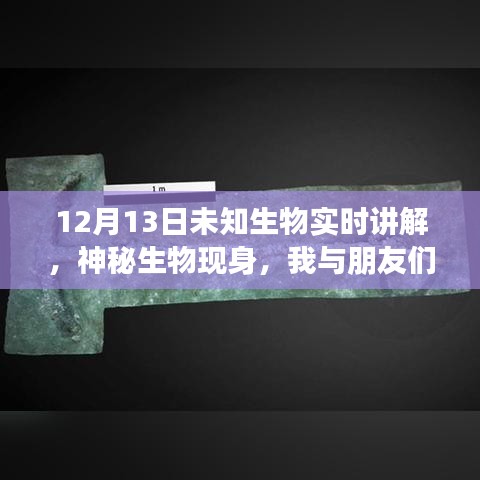 未知生物揭秘,神秘現(xiàn)身與溫馨探險(xiǎn)之旅