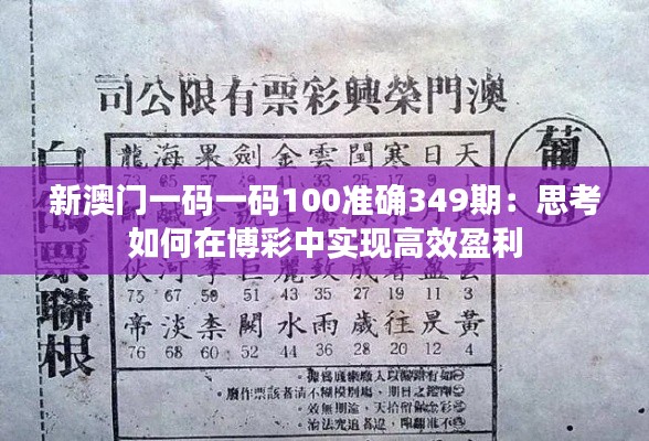 新澳門一碼一碼100準確349期:思考如何在博彩中實現高效盈利