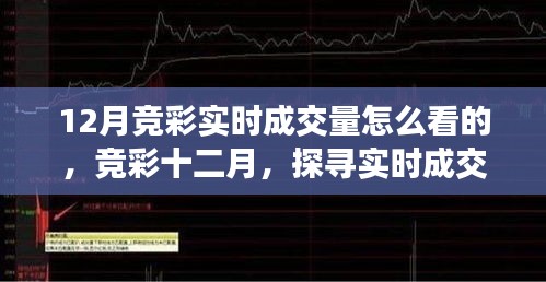 探尋競彩十二月實時成交量奧秘與影響，成交量分析與解讀