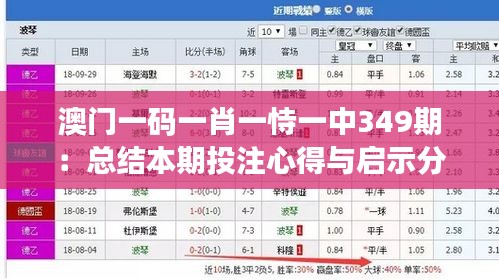 澳門一碼一肖一恃一中349期:總結本期投注心得與啟示分享