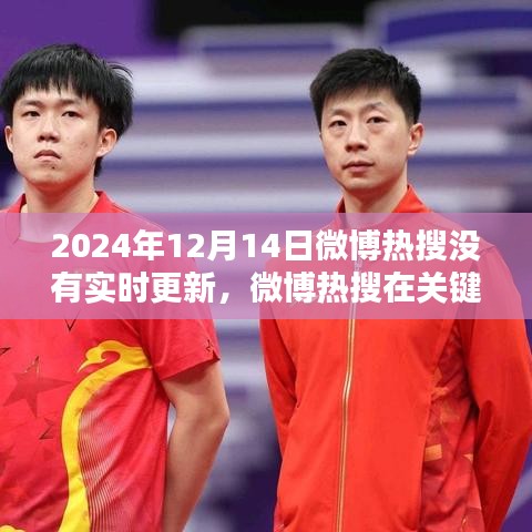 2024年12月14日微博熱搜缺失實(shí)時(shí)更新，深入評測分析