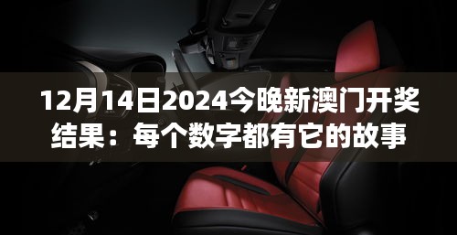 12月14日2024今晚新澳門開獎結果:每個數字都有它的故事,新澳門開獎夜,幸運屬于誰?