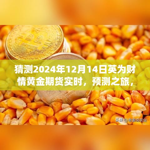 解讀英為財情黃金期貨市場展望，預測黃金期貨未來走勢，探尋黃金市場趨勢——聚焦2024年12月14日實時動態分析之旅