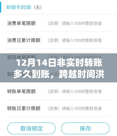 非實(shí)時(shí)轉(zhuǎn)賬的智慧，到賬時(shí)間解析與成就感的誕生