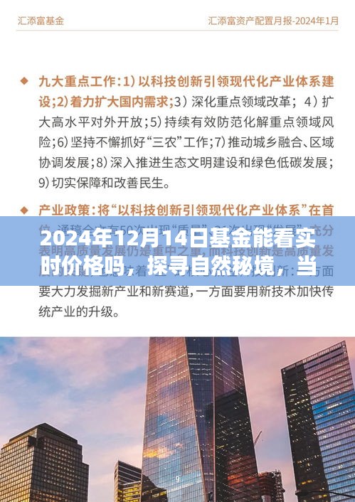 探尋自然秘境與基金實時價格之旅,一場心靈與財富的奇妙交融