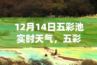 五彩池畔冬日暖陽(yáng),12月14日實(shí)時(shí)天氣報(bào)告