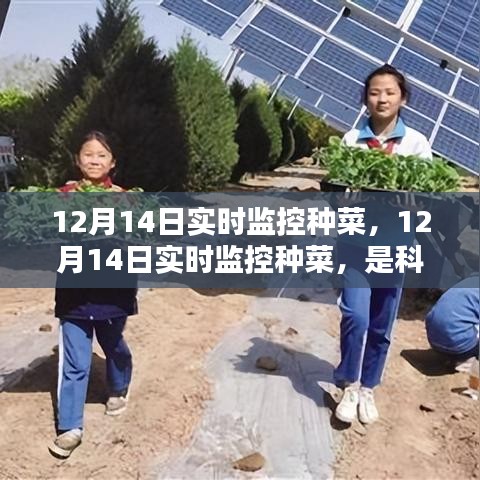 科技賦能還是過(guò)度干預(yù)?種菜實(shí)時(shí)監(jiān)控引發(fā)爭(zhēng)議。