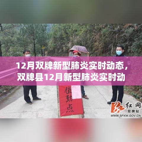 雙牌縣十二月新型肺炎實(shí)時(shí)動(dòng)態(tài)概覽,背景、進(jìn)展與影響分析