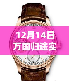 12月14日萬國歸途實(shí)時票房深度解析，表現(xiàn)、特性、體驗、競品對比及用戶群體全面剖析