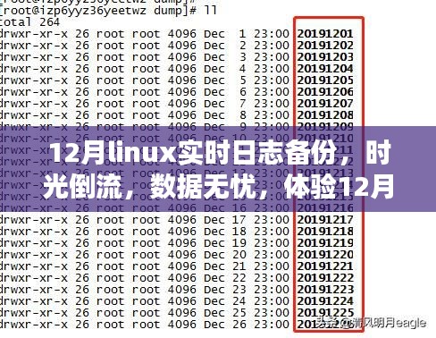 體驗(yàn)Linux實(shí)時(shí)日志備份前沿科技魅力，時(shí)光倒流無憂數(shù)據(jù)保障在十二月