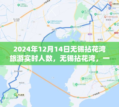 2024年12月14日無錫拈花灣旅游實時人數揭秘,尋找內心平靜的旅程中的奇跡之旅