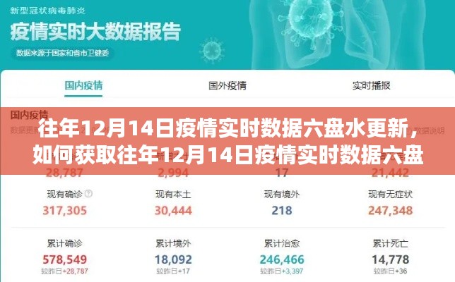往年12月14日六盤水疫情實時數(shù)據(jù)更新指南，獲取步驟詳解